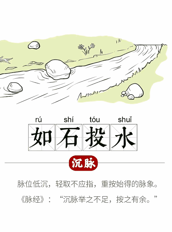 中医经络图片素材_中医图高清图_中医人体经络图高清