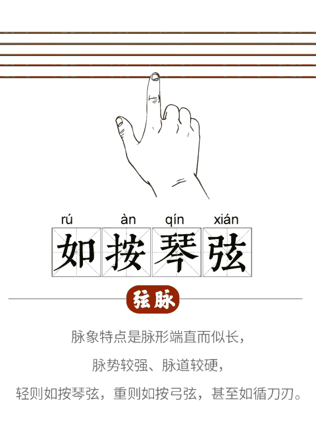 中医经络图片素材_中医图高清图_中医人体经络图高清