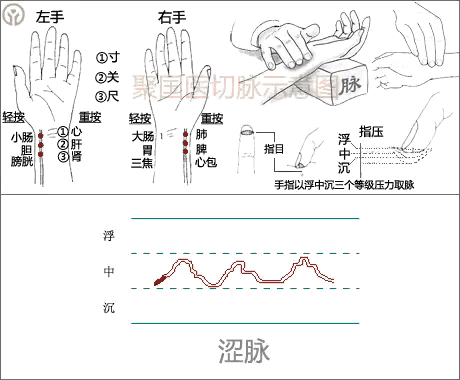 中医人体经络图高清_中医经络图片素材_中医图高清图
