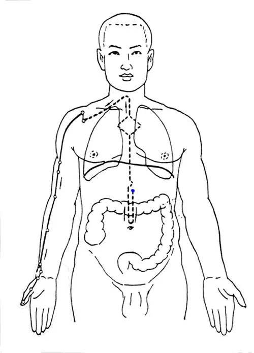 中医人体经络结构图_人体构造经络_中医人体经络简图