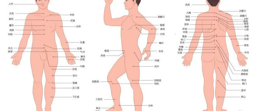 中医经络拍打拍的制作_中医经络拍打拍_中医经络拍打操-教学