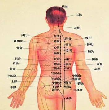 有关中医经络推拿培训_中医经络推拿学员免费培训_中医经络推拿视频教程