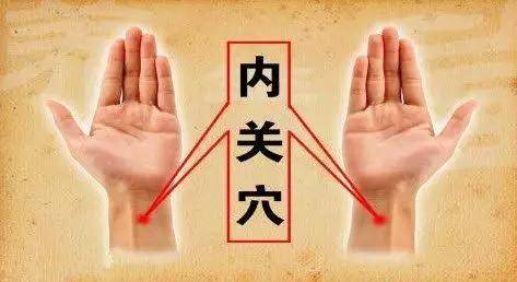 中医说经络_中医认为的经络到底是什么_中医讲经络是什么