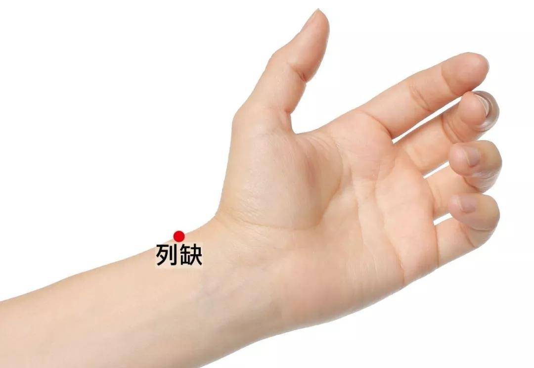 中医认为的经络到底是什么_中医讲经络是什么_中医说经络