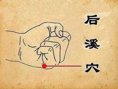 中医讲经络是什么_中医说经络_中医认为的经络到底是什么