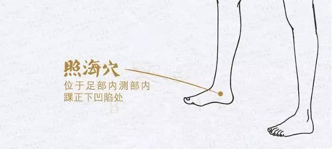 中医说经络_中医认为的经络到底是什么_中医讲经络是什么