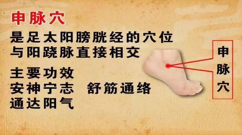 中医讲经络是什么_中医说经络_中医认为的经络到底是什么