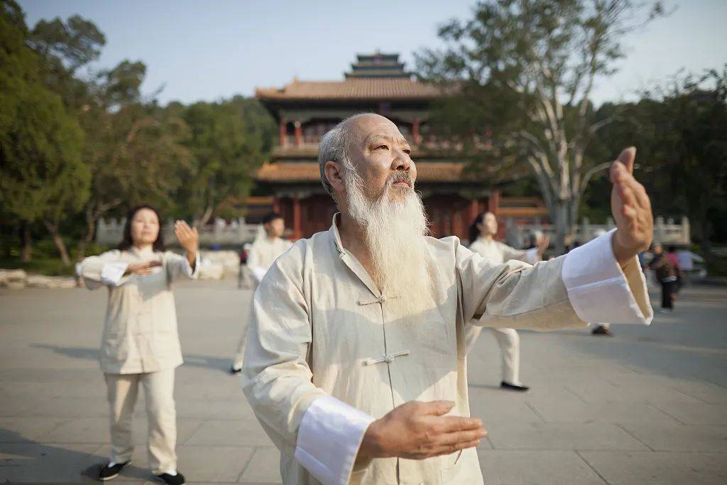 中医经络养生学_中医经络养生项目_养生中医经络项目介绍