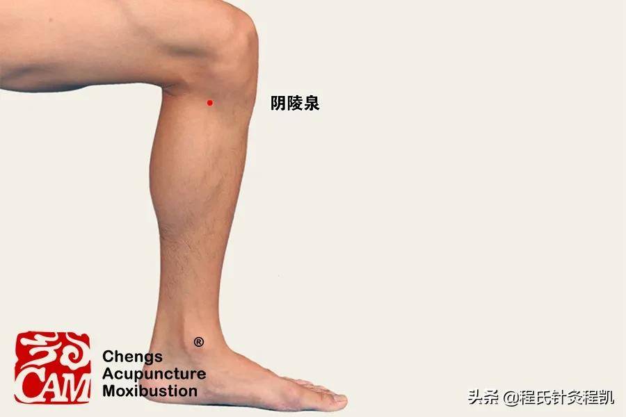 中医经络操_中医经络操视频教程_中医经络养生操口诀