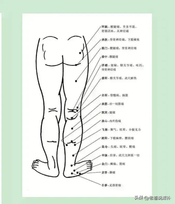 中医人体经络图高清_中医高清经络人体图_中医经络图片素材