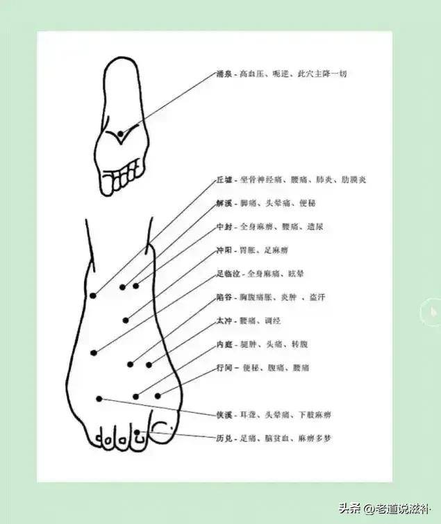 中医人体经络图高清_中医高清经络人体图_中医经络图片素材