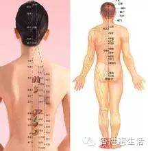 中医按摩经络图_中医经络按摩图片_中医经络按摩80个特效
