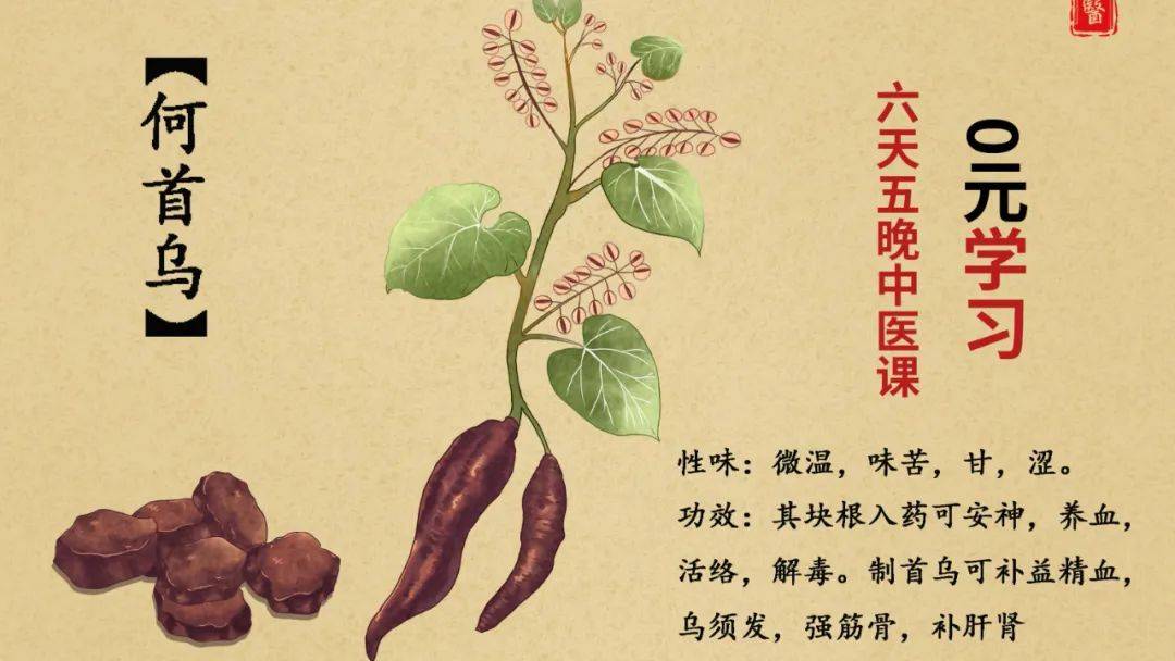中医经络养生项目_养生中医经络项目名称_养生中医经络项目有哪些