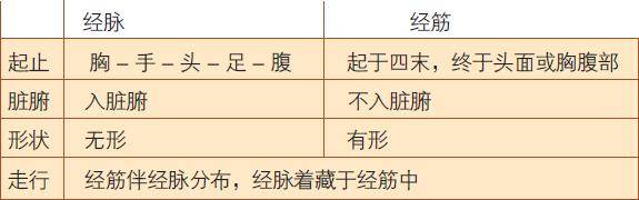 中医养生经络图_中医养生常识100中经络_中医养生经络疗法