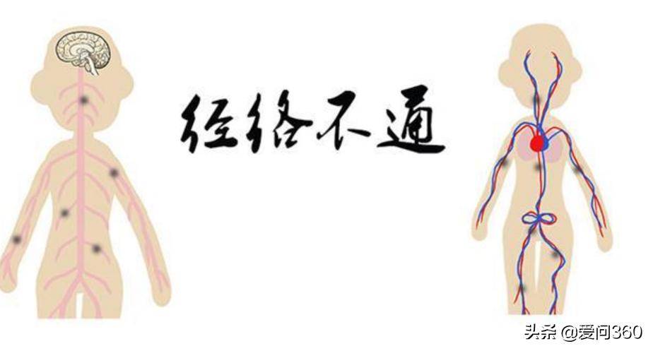 中医经络科学吗_经络不通看中医挂什么科_中医经络疏通挂什么科