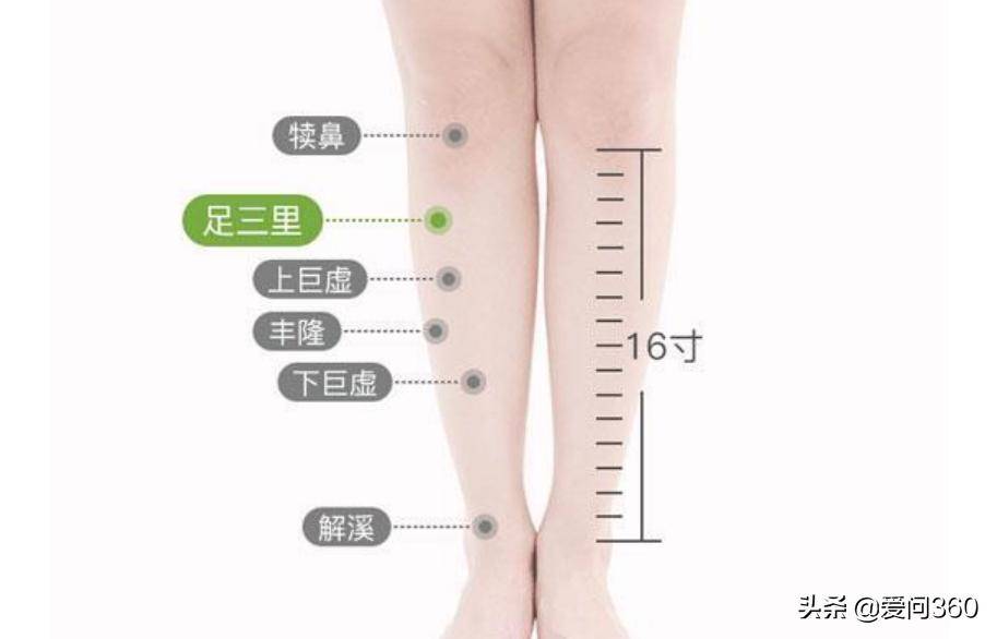 中医经络疏通挂什么科_中医经络科学吗_经络不通看中医挂什么科