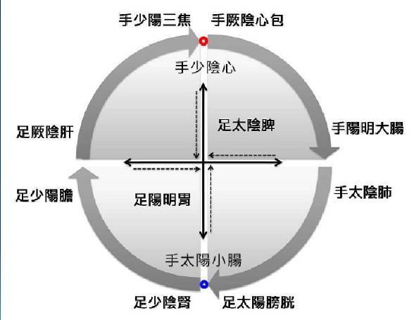中医经络推拿的功效_中医经络功效推拿手法_中医经络功效推拿图
