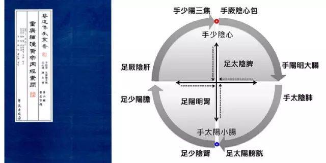 中医经络功效推拿手法_中医经络推拿的功效_中医经络功效推拿图