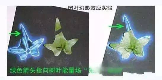 中医经络就是血管_中医讲的经络是血管吗_血管在中医上属于筋吗