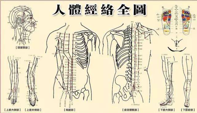 中医经络就是血管_血管在中医上属于筋吗_中医讲的经络是血管吗