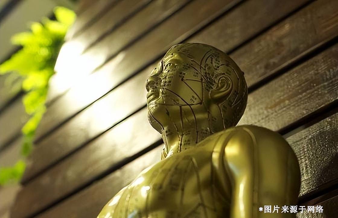 医师资格考试报名资格_如何报考中医师资格证_医师资格考试显示填报
